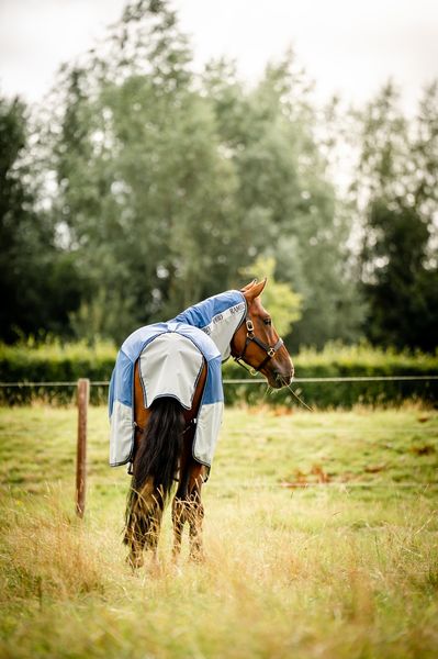 Hovedbilde Rambo Autumn Series