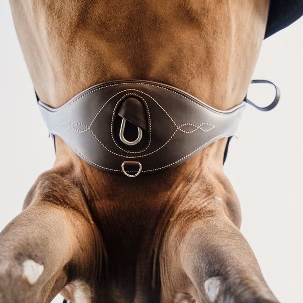 Hovedbilde Kentucky Anatomisk Gjord