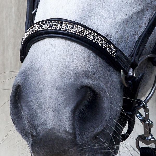 Hovedbilde Hrimnir Lav Nesereim - Fire & Ice 