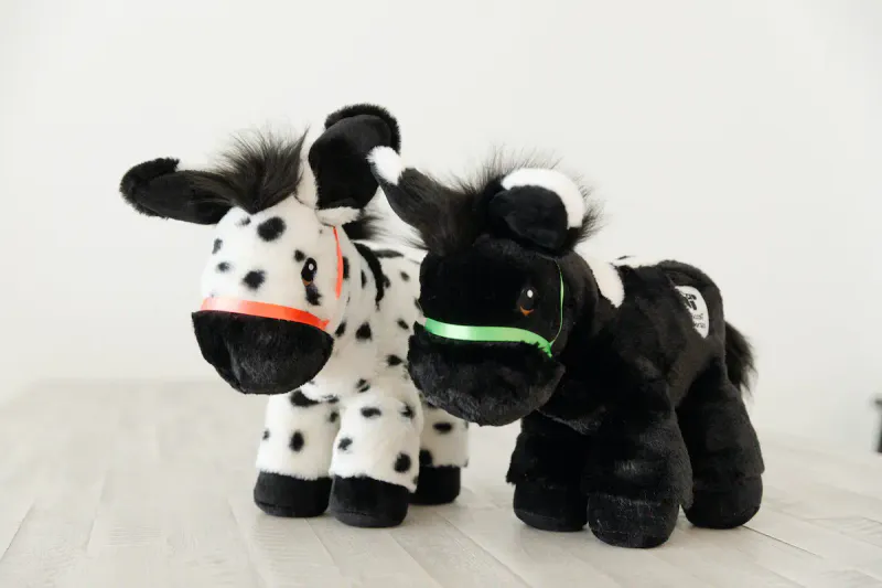 Piccoli Donkey - Chrissy