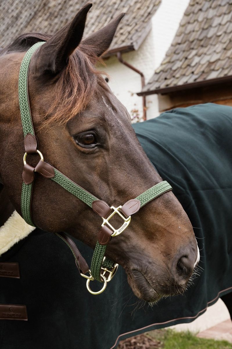 Kentucky Plaited Nylon Grime