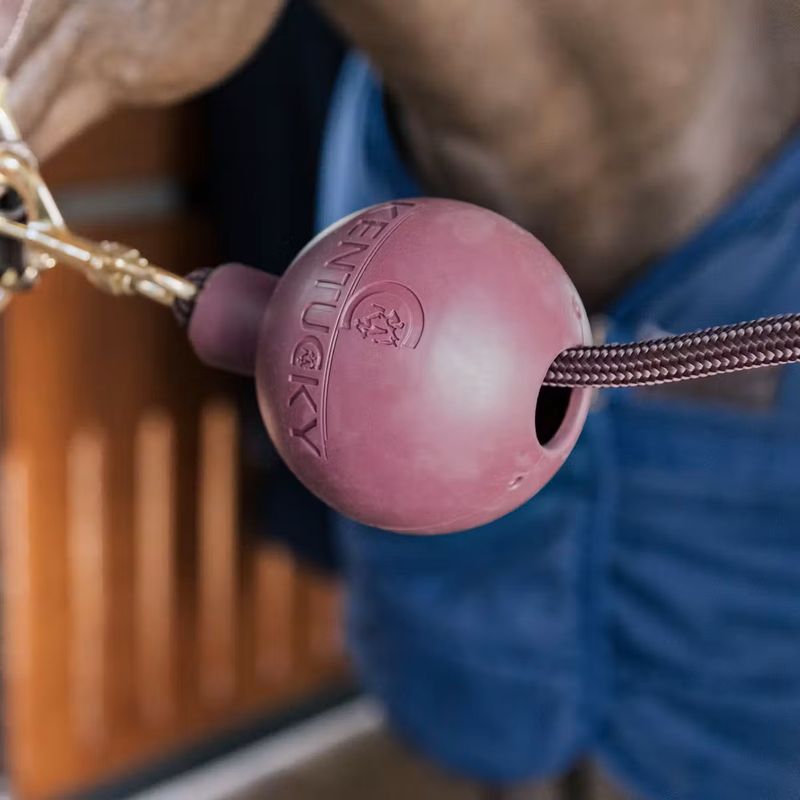 Kentucky Lead & Wall Protection Rubber Ball
