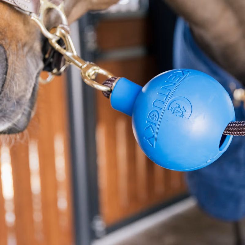 Kentucky Lead & Wall Protection Rubber Ball