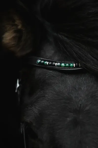 Hovedbilde Top Reiter Orka Nakkereim -  Grønn