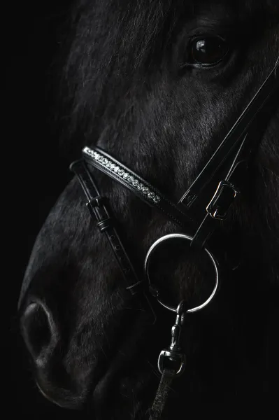 Hovedbilde Top Reiter Demantur Kombinert Nesereim - Krystall