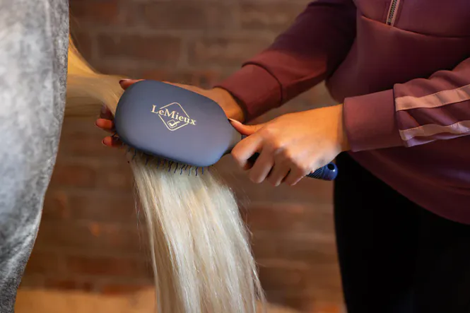 Hovedbilde LeMieux Tangle Tidy Core