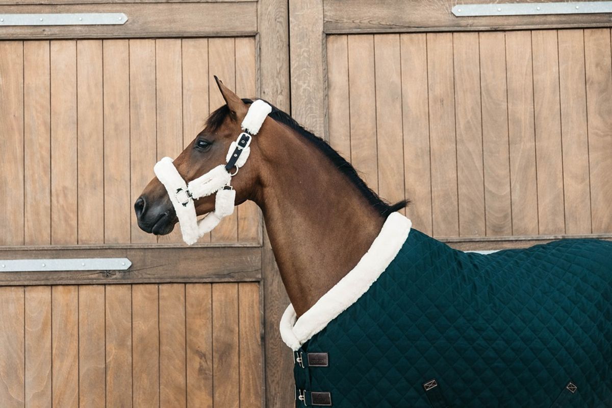 Kentucky Show Rug 160gr