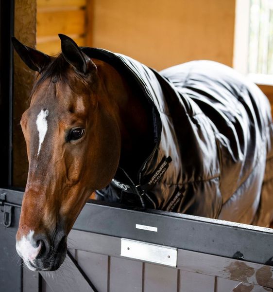 Hovedbilde Amigo Insulator Ripstop Plus 350g - Sort